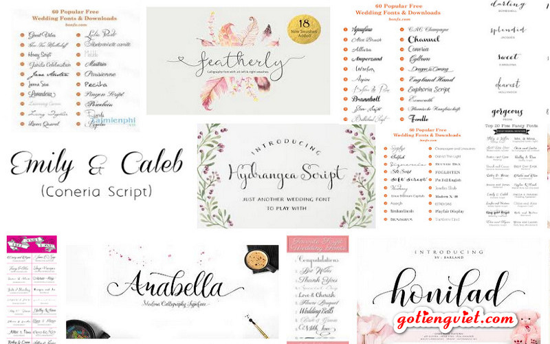 Tổng hợp những font chữ thiệp cưới đẹp nhất cho bạn  Thiệp cưới 88  Thế  giới thiệp cưới Đẹp Sang Chảnh
