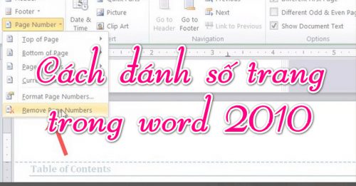 Cách đánh số trang trong Word 2010 thuộc phiên bản Office 2010 - Gõ Tiếng Việt