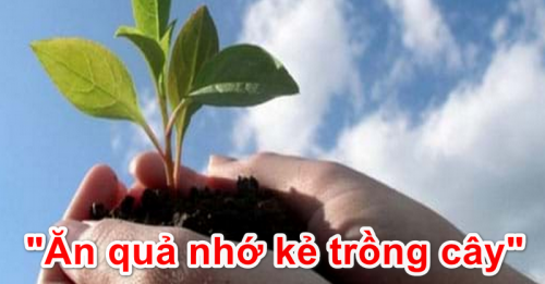 Thành ngữ “Ăn quả nhớ kẻ trồng cây” - Gõ Tiếng Việt