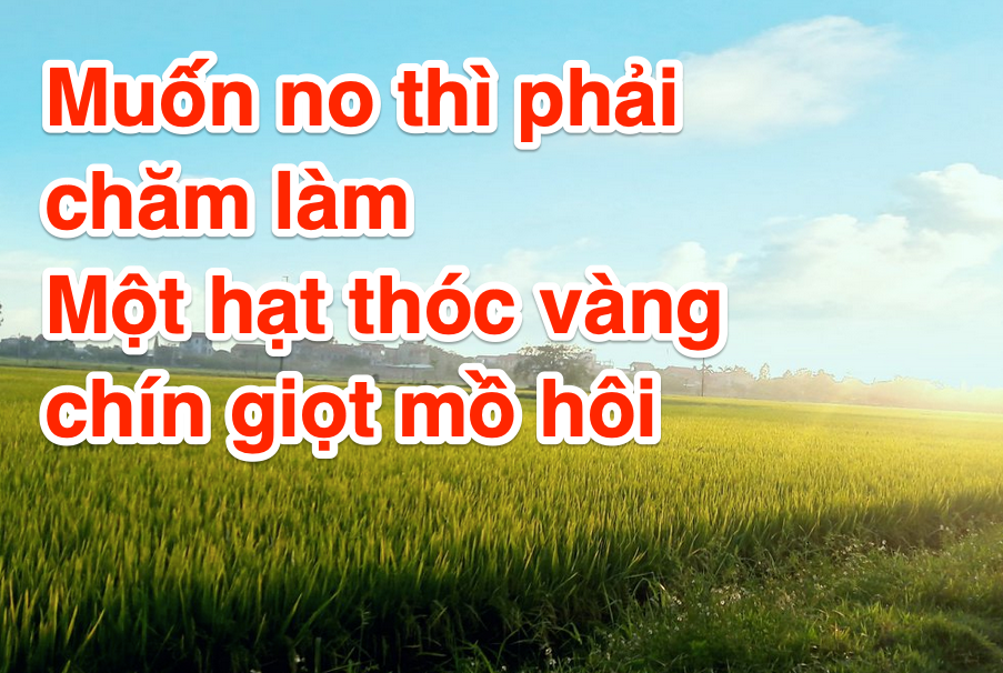 Muốn no thì phải chăm làm Một hạt thóc vàng chín giọt mồ hôi