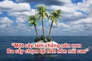 “Một cây làm chẳng nên non   Ba cây chụm lại nên hòn núi cao”