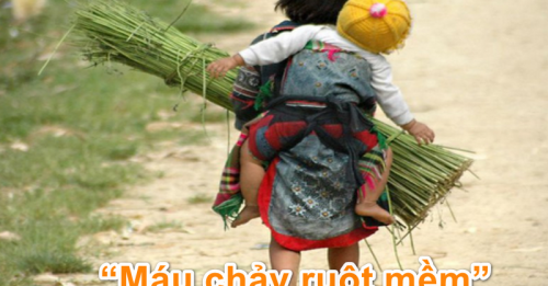 What is the meaning of the phrase Máu chảy ruột mềm and its significance?