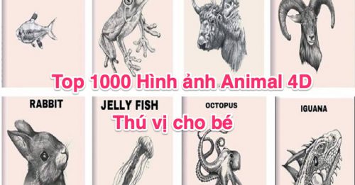 Top 1000 Hình Ảnh Animal 4D Thú Vị Cho Bé - Gõ Tiếng Việt