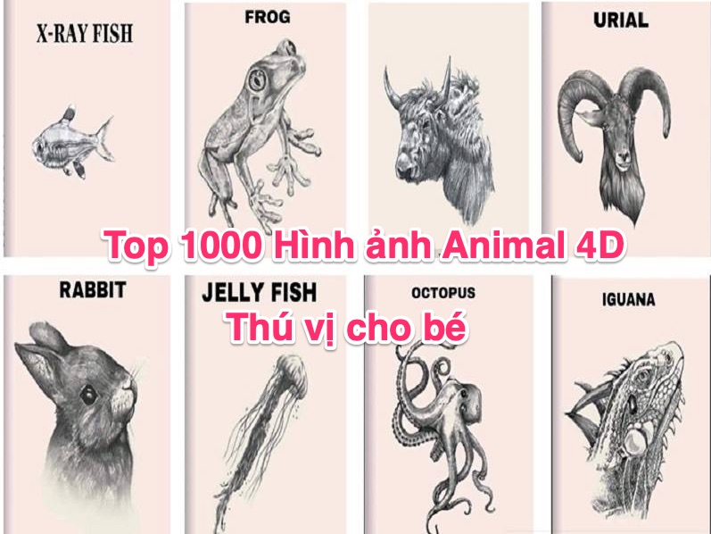 Top 1000 Hình ảnh Animal 4D thú vị cho bé - Gõ Tiếng Việt