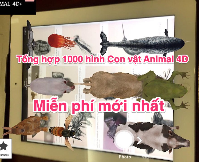Tổng hợp 1000 hình Con vật Animal 4D miễn phí mới nhất