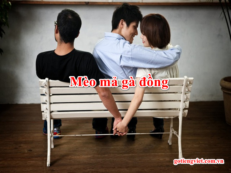 Mèo mả gà đồng