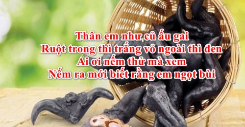 Thân em như củ ấu gai - Gõ Tiếng Việt Thân em như củ ấu gai