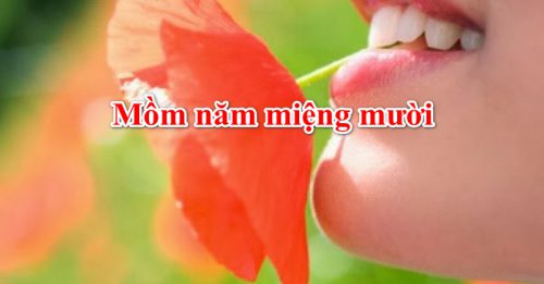 What does the phrase Mồm 5 miệng 10 mean and how is it used in Vietnamese language?